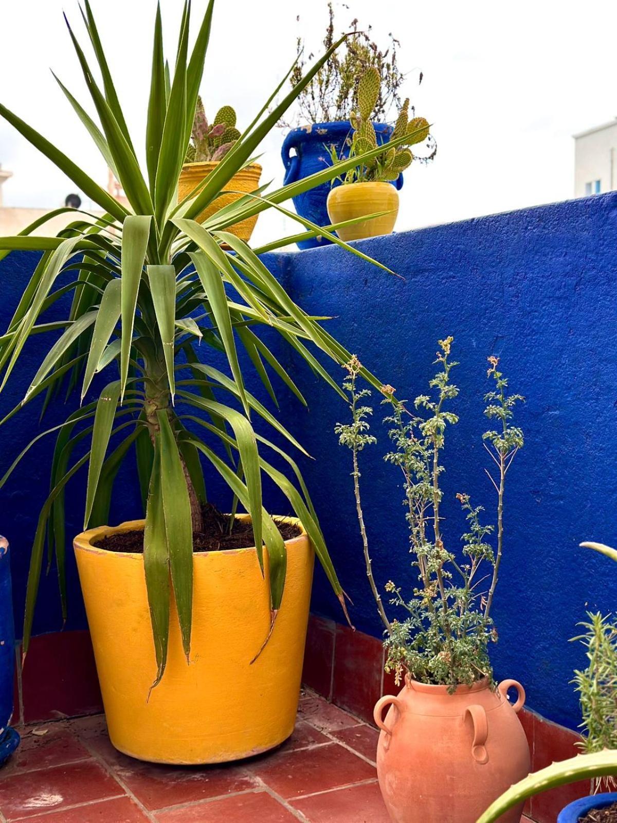 Nomads Hostel Tunisia Exterior photo